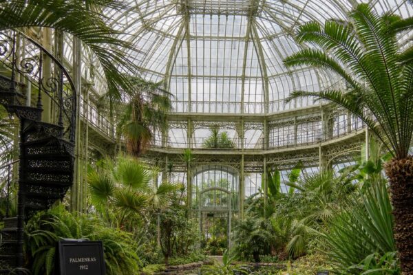 Hortus Botanicus Amsterdam: waarom deze groene oase een stop waard is tijdens je stedentrip